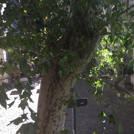 Studio Plaisance 亞維農 外观 照片