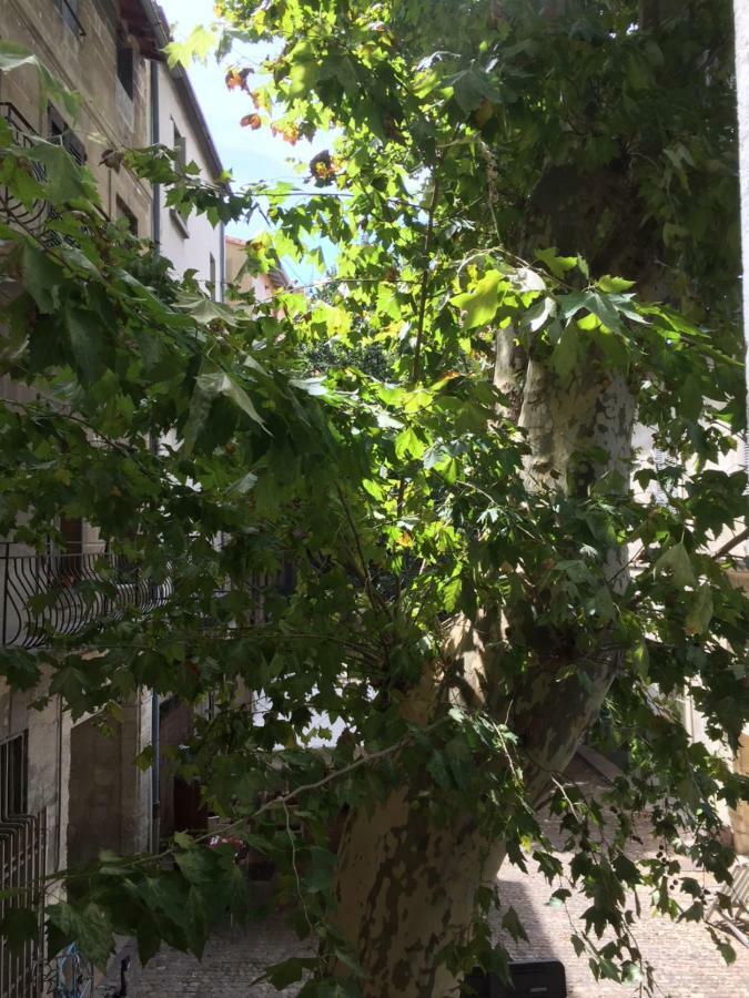 Studio Plaisance 亞維農 外观 照片
